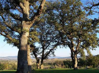 Prati a Bagno Vignoni